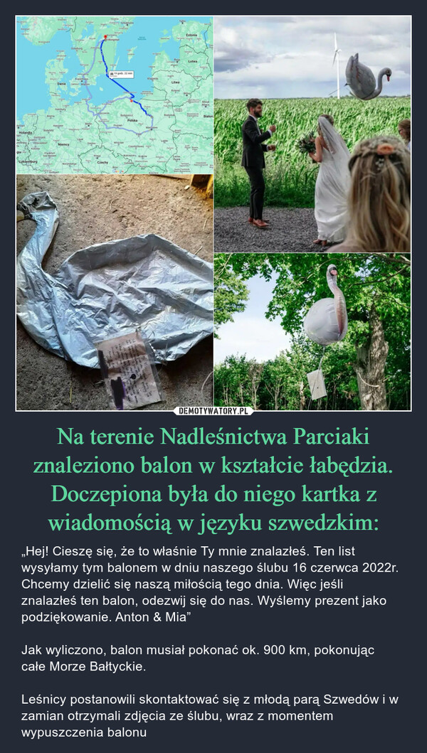 Na terenie Nadleśnictwa Parciaki znaleziono balon w kształcie łabędzia. Doczepiona była do niego kartka z wiadomością w języku szwedzkim: – „Hej! Cieszę się, że to właśnie Ty mnie znalazłeś. Ten list wysyłamy tym balonem w dniu naszego ślubu 16 czerwca 2022r. Chcemy dzielić się naszą miłością tego dnia. Więc jeśli znalazłeś ten balon, odezwij się do nas. Wyślemy prezent jako podziękowanie. Anton & Mia”Jak wyliczono, balon musiał pokonać ok. 900 km, pokonując całe Morze Bałtyckie. Leśnicy postanowili skontaktować się z młodą parą Szwedów i w zamian otrzymali zdjęcia ze ślubu, wraz z momentem wypuszczenia balonu HaugesundStavangerSandnessterdamGroningenHolandiadamsorntwerpiaelagia LegeKristiansandDortmundEsseno O0KoloniaLuksemburgODüsseldorfHerningQBillundBremaBielefeldMannheimODrammenFlensburgKarlsruheHirtshalsVendsysselAalborgSandefjordFrankfurtnad MenemFredrikstadstadAarhusDaniaKiloniaOHamburgHanowerOKasselLubekaStuttgartNiemcyTrollhattanGoteborgRostockBorasHalmstadNorymbergaKarlstadHelsingborgKopenhagadSælland MalmoStralsLipskOSkövdeBerlinOMagdeburg PoczdamRatyzbonaJonkopingSwinoujscieDreznoOrebroPilznoVaxjoLoSzczecinGorzówWielkopolskiPragaVasterasEskilstuna SztokholmNorrköpingO VikingstadKoszaKołobrzegCzechyKalmarZielona GóraNykoping875 kmSodertaljeAntonia19 godz. 22 minPoznańBydgoszczPolskaWrocławVisbyWladyslawowoGotlandBrnoGooglelera av sigdig somMorzeBaltyckieOstrawaPłockŁódźCodzKatowiceo KrakówOSkickarkargima seAn denna dag,illing dela madvar opfer 16 juli 2012har brevet streades iväg toroligt at just du hittadfigl vdu056 64som hittat besliteKADAOlsztynCzęstochowa KielceOoBielsko-BiałaLipawaKłajpedaWarszawaWindawagallingCig. DetRadomSaaremaaKoszvceJurmalaJelgawaSzawleSuwalkiAugustowLublinRzeszówPrzemyśl oTallinRygaLitwaBiałystokZamośćParnawa ViljandiKownoGrodno"ГродноBrześćБрэстEstoniaLwówЛьвiвOAVValmieraŁotwaWilnoTartuDyneburgBaranowiczeБаранавічыTarnopolТернопiльIwano-FrankiwskІвано-ФранківськLuckny RównePinneNarwaRzezycaMolodecznoMahasena MińskМiнскPskčficktBiałoruKopZytChmielnickiХмельницький WinBIHH