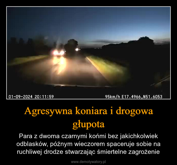 Agresywna koniara i drogowa głupota – Para z dwoma czarnymi końmi bez jakichkolwiek odblasków, późnym wieczorem spaceruje sobie na ruchliwej drodze stwarzając śmiertelne zagrożenie 01-09-2024 20:11:5995km/h E17.4966,N51.6053