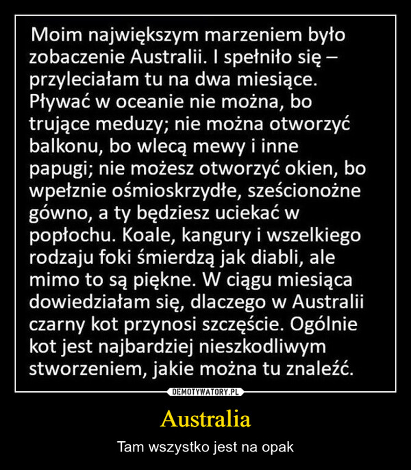 Australia – Tam wszystko jest na opak Moim największym marzeniem byłozobaczenie Australii. I spełniło się -przyleciałam tu na dwa miesiące.Pływać w oceanie nie można, botrujące meduzy; nie można otworzyćbalkonu, bo wlecą mewy i innepapugi; nie możesz otworzyć okien, bowpełznie ośmioskrzydłe, sześcionożnegówno, a ty będziesz uciekać wpopłochu. Koale, kangury i wszelkiegorodzaju foki śmierdzą jak diabli, alemimo to są piękne. W ciągu miesiącadowiedziałam się, dlaczego w Australiiczarny kot przynosi szczęście. Ogólniekot jest najbardziej nieszkodliwymstworzeniem, jakie można tu znaleźć.