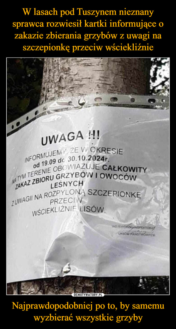 Najprawdopodobniej po to, by samemu wyzbierać wszystkie grzyby –  UWAGA !!!INFORMUJEMY, ŻE W OKRESIEod 19.09 do 30.10.2024r.NA TYM TERENIE OBOWIĄZUJE CAŁKOWITYZAKAZ ZBIORU GRZYBOW I OWOCÓWLESNYCHZUWAGII NA ROZPYLONĄ SZCZEPIONKEPRZECIWWŚCIEKLIŹNIE LISÓW.WOJEWOOZKWINSPEKTORAYLASOW PANSTWOWYCH