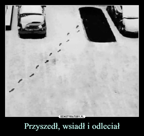 Przyszedł, wsiadł i odleciał –  Przyszedł, wsiadł i odleciał