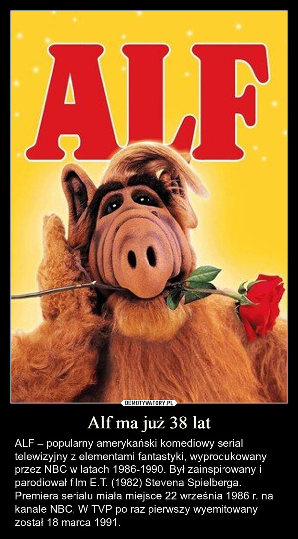 Alf ma już 38 lat – ALF – popularny amerykański komediowy serial telewizyjny z elementami fantastyki, wyprodukowany przez NBC w latach 1986-1990. Był zainspirowany i parodiował film E.T. (1982) Stevena Spielberga. Premiera serialu miała miejsce 22 września 1986 r. na kanale NBC. W TVP po raz pierwszy wyemitowany został 18 marca 1991. ALF