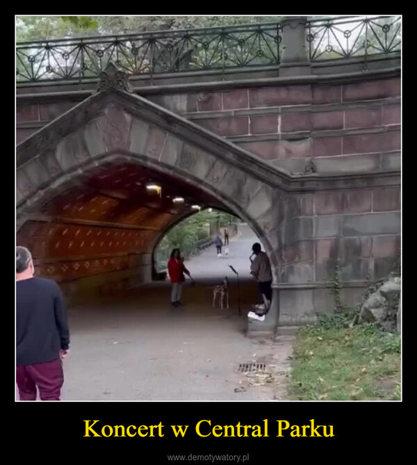 Koncert w Central Parku –  80.0