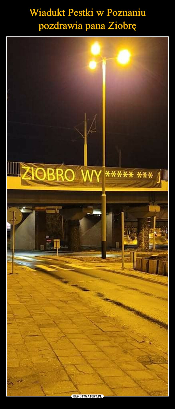  –  ZIOBRO WY*****