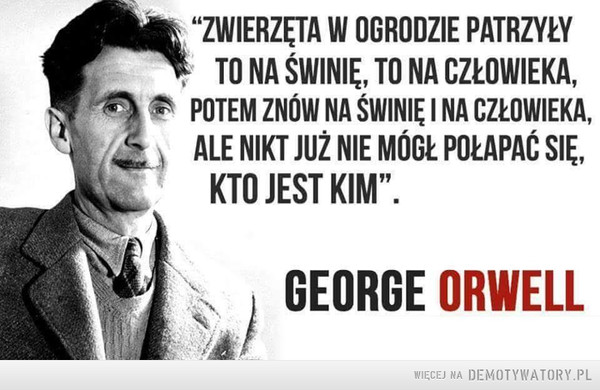 Różnica –  “ZWIERZĘTA W OGRODZIE PATRZYŁYTO NA ŚWINIĘ, TO NA CZŁOWIEKA,POTEM ZNÓW NA ŚWINIĘ I NA CZŁOWIEKA,ALE NIKT JUŻ NIE MÓGŁ POŁAPAĆ SIĘ,KTO JEST KIM”.„ GEORGE ORWELL