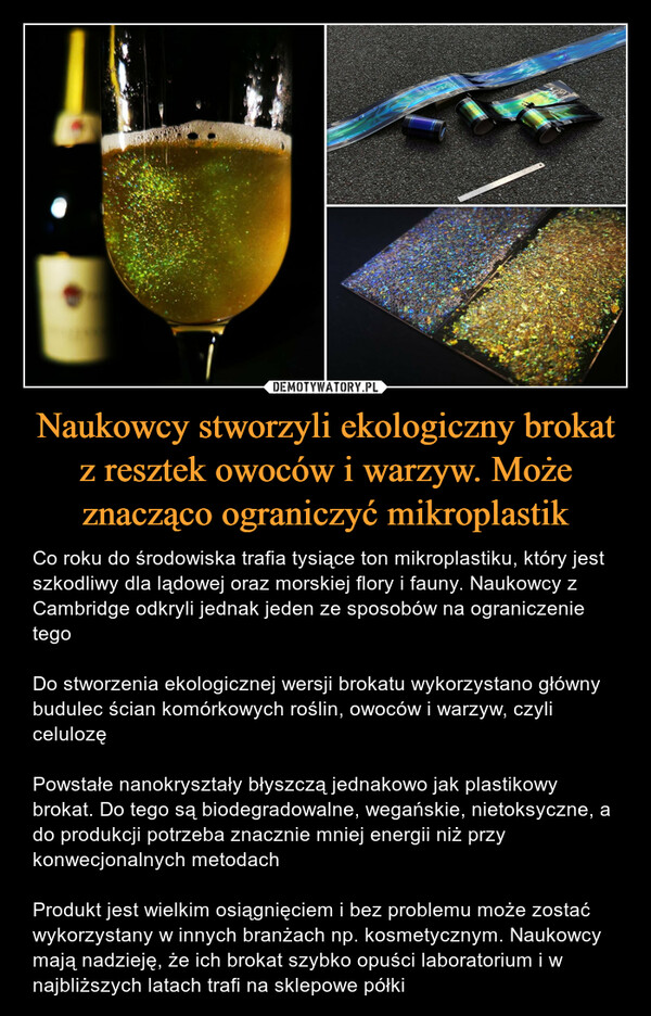 Naukowcy stworzyli ekologiczny brokat z resztek owoców i warzyw. Może znacząco ograniczyć mikroplastik – Co roku do środowiska trafia tysiące ton mikroplastiku, który jest szkodliwy dla lądowej oraz morskiej flory i fauny. Naukowcy z Cambridge odkryli jednak jeden ze sposobów na ograniczenie tego Do stworzenia ekologicznej wersji brokatu wykorzystano główny budulec ścian komórkowych roślin, owoców i warzyw, czyli celulozęPowstałe nanokryształy błyszczą jednakowo jak plastikowy brokat. Do tego są biodegradowalne, wegańskie, nietoksyczne, a do produkcji potrzeba znacznie mniej energii niż przy konwecjonalnych metodach Produkt jest wielkim osiągnięciem i bez problemu może zostać wykorzystany w innych branżach np. kosmetycznym. Naukowcy mają nadzieję, że ich brokat szybko opuści laboratorium i w najbliższych latach trafi na sklepowe półki 