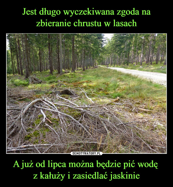 A już od lipca można będzie pić wodę z kałuży i zasiedlać jaskinie –  