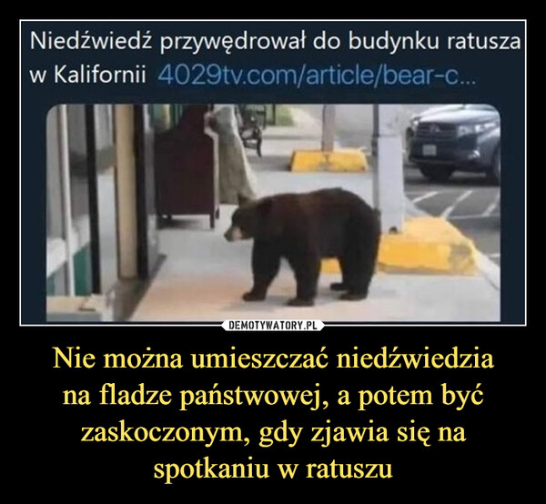 Nie można umieszczać niedźwiedziana fladze państwowej, a potem być zaskoczonym, gdy zjawia się na spotkaniu w ratuszu –  Niedźwiedź przywędrował do budynku ratuszaw Kalifornii 4029tv.com/article/bear-c...