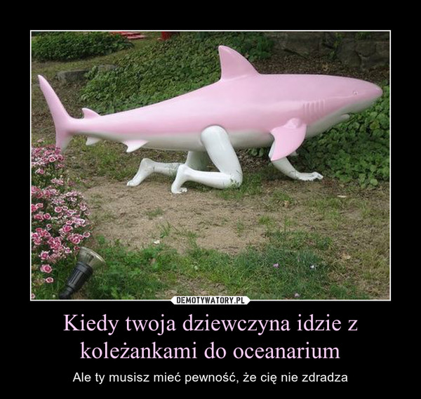 Kiedy twoja dziewczyna idzie z koleżankami do oceanarium – Ale ty musisz mieć pewność, że cię nie zdradza 