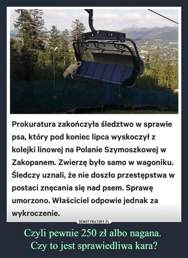 Czyli pewnie 250 zł albo nagana. Czy to jest sprawiedliwa kara? –  Prokuratura zakończyła śledztwo w sprawiepsa, który pod koniec lipca wyskoczył zkolejki linowej na Polanie Szymoszkowej wZakopanem. Zwierzę było samo w wagoniku.Śledczy uznali, że nie doszło przestępstwa wpostaci znęcania się nad psem. Sprawęumorzono. Właściciel odpowie jednak zawykroczenie.