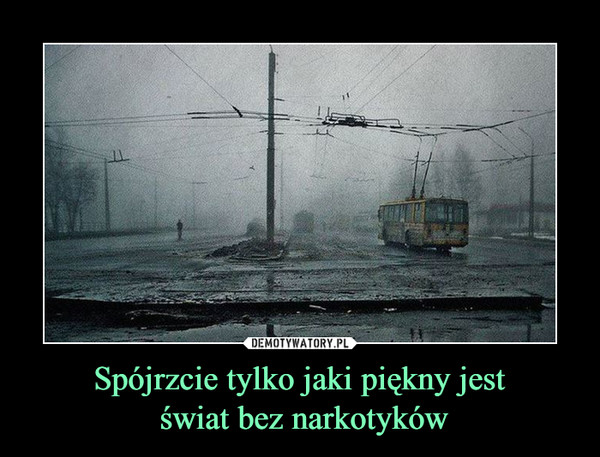 Spójrzcie tylko jaki piękny jest świat bez narkotyków –  