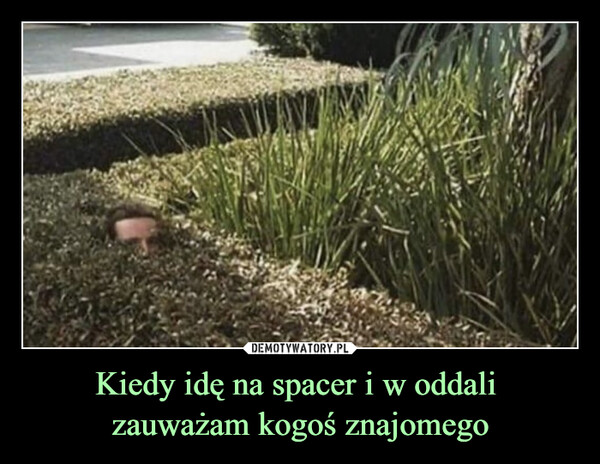 Kiedy idę na spacer i w oddali zauważam kogoś znajomego –  