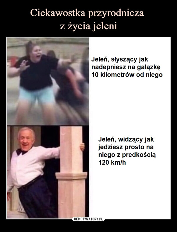  –  Jeleń, słyszący jaknadepniesz na gałązkę10 kilometrów od niegoJeleń, widzący jakjedziesz prosto naniego z predkością120 km/h