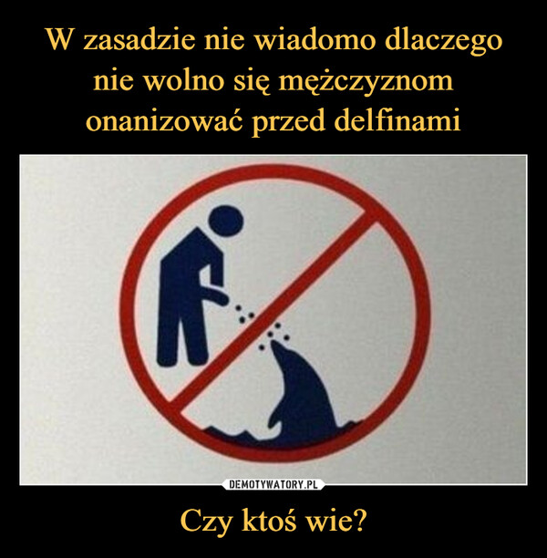 Czy ktoś wie? –  