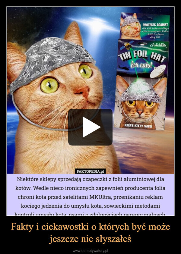 Fakty i ciekawostki o których być może jeszcze nie słyszałeś –  PROTECTS AGAINSTHAARP & Gamma RaysElectromagnetic FieldsRFID Implants•Dog ESPArchie McFReeTIN FOIL HATfor cats!KEEPS KITTY SAFE!FAKTOPEDIA.plNiektóre sklepy sprzedają czapeczki z folii aluminiowej dlakotów. Wedle nieco ironicznych zapewnień producenta foliachroni kota przed satelitami MKUltra, przenikaniu reklamkociego jedzenia do umysłu kota, sowieckimi metodamikontroli umysłu kota nsamio zdolnościach paranormalnych