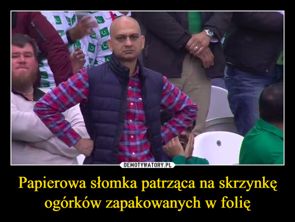 Papierowa słomka patrząca na skrzynkę ogórków zapakowanych w folię –  