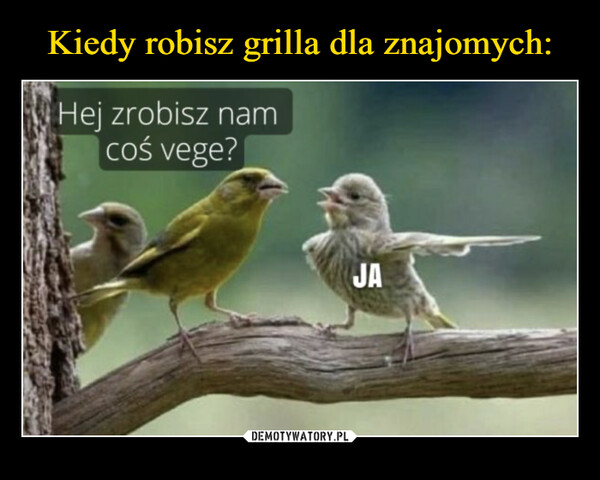  –  Hej zrobisz namcoś vege?JA