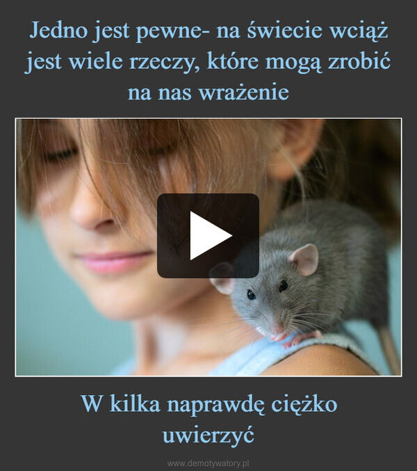 W kilka naprawdę ciężkouwierzyć –  