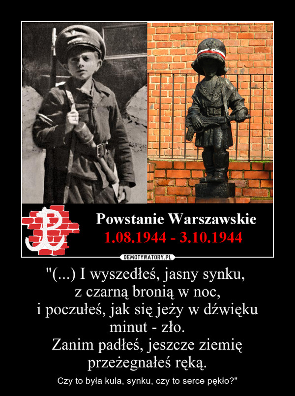 "(...) I wyszedłeś, jasny synku, z czarną bronią w noc,i poczułeś, jak się jeży w dźwiękuminut - zło.Zanim padłeś, jeszcze ziemię przeżegnałeś ręką. – Czy to była kula, synku, czy to serce pękło?" 