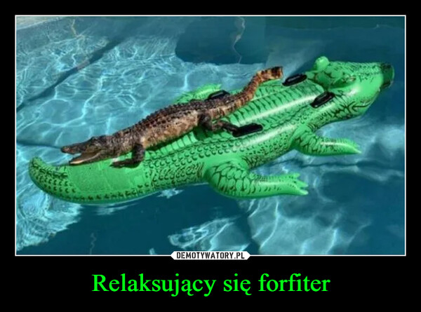 Relaksujący się forfiter –  