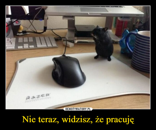 Nie teraz, widzisz, że pracuję –  Razer