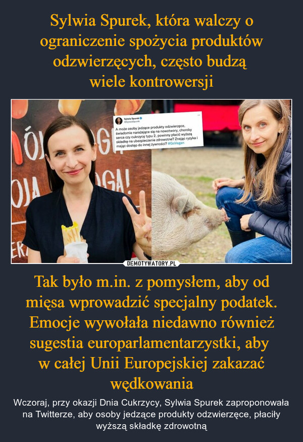 Tak było m.in. z pomysłem, aby od mięsa wprowadzić specjalny podatek. Emocje wywołała niedawno również sugestia europarlamentarzystki, aby w całej Unii Europejskiej zakazać wędkowania – Wczoraj, przy okazji Dnia Cukrzycy, Sylwia Spurek zaproponowała na Twitterze, aby osoby jedzące produkty odzwierzęce, płaciły wyższą składkę zdrowotną 