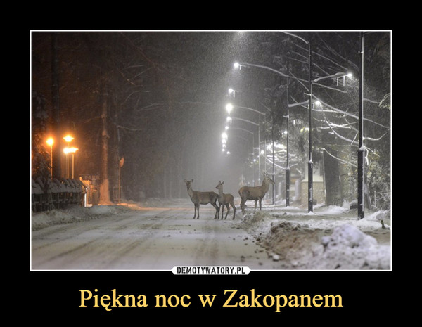 Piękna noc w Zakopanem –  