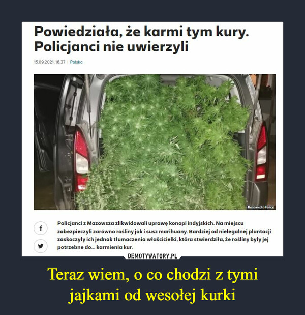 Teraz wiem, o co chodzi z tymijajkami od wesołej kurki –  Powiedziała, że karmi tym kury.Policjanci nie uwierzyli15.09.2021, 16:37 PolskaMazowiecka PolicjaPolicjanci z Mazowsza zlikwidowali uprawę konopi indyjskich. Na miejscuzabezpieczyli zarówno rośliny jak i susz marihuany. Bardziej od nielegalnej plantacjizaskoczyły ich jednak tłumaczenia właścicielki, która stwierdziła, że rośliny były jejpotrzebne do. karmienia kur.f