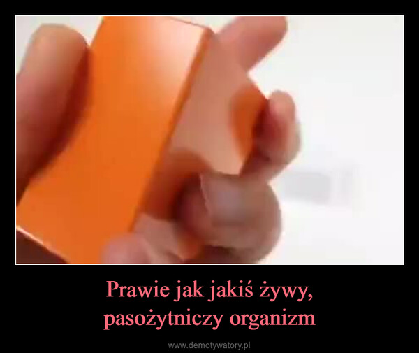 Prawie jak jakiś żywy,pasożytniczy organizm –  