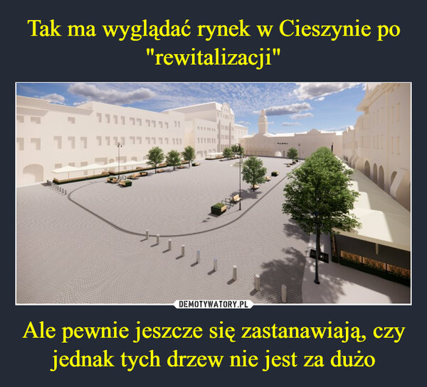 Ale pewnie jeszcze się zastanawiają, czy jednak tych drzew nie jest za dużo –  