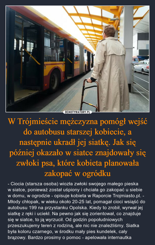 W Trójmieście mężczyzna pomógł wejść do autobusu starszej kobiecie, a następnie ukradł jej siatkę. Jak się później okazało w siatce znajdowały się zwłoki psa, które kobieta planowała zakopać w ogródku – - Ciocia (starsza osoba) wiozła zwłoki swojego małego pieska w siatce, ponieważ został uśpiony i chciała go zakopać u siebie w domu, w ogrodzie - opisuje kobieta w Raporcie Trojmiasto.pl. - Młody chłopak, w wieku około 20-25 lat, pomagał cioci wsiąść do autobusu 199 na przystanku Opolska. Kiedy to zrobił, wyrwał jej siatkę z ręki i uciekł. Na pewno jak się zorientował, co znajduje się w siatce, to ją wyrzucił. Od godzin popołudniowych przeszukujemy teren z rodziną, ale nic nie znaleźliśmy. Siatka była koloru czarnego, w środku mały pies kundelek, cały brązowy. Bardzo prosimy o pomoc - apelowała internautka 