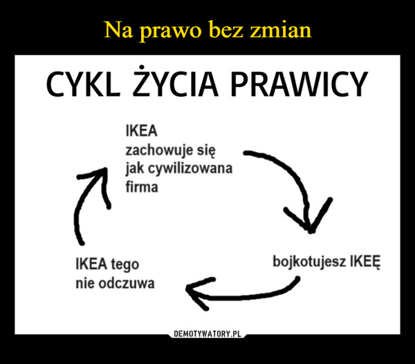  –  CYKL ŻYCIA PRAWICYIKEAzachowuje sięjak cywilizowanafirmaaIKEA tegonie odczuwabojkotujesz IKEĘ