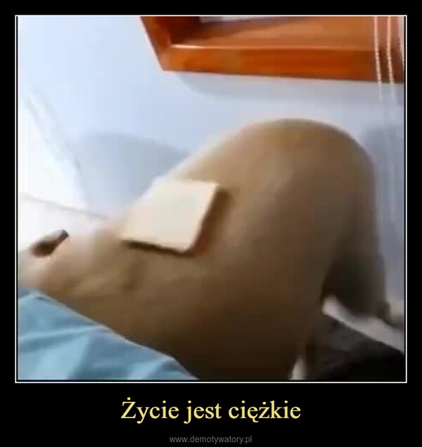 Życie jest ciężkie –  