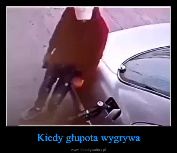 Kiedy głupota wygrywa –  