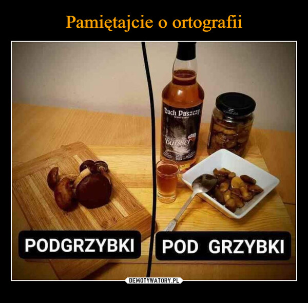  –  PODGRZYBKIDuch PuszczyBunerPOD GRZYBKI