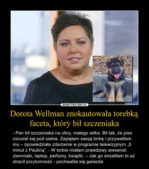 Dorota Wellman znokautowała torebką faceta, który bił szczeniaka – - Pan bił szczeniaka na ulicy, małego wilka. Bił tak, że pies zsiusiał się pod siebie. Zapięłam swoją torbę i przywaliłam mu – opowiedziała zdarzenie w programie telewizyjnym „5 minut z Pauliną”. - W torbie miałam prawdziwy aresenał: ziemniaki, laptop, perfumy, książki. – Jak go strzeliłam to aż stracił przytomność - pochwaliła się gwiazda 