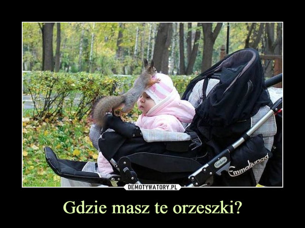 Gdzie masz te orzeszki? –  