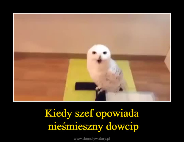 Kiedy szef opowiada nieśmieszny dowcip –  