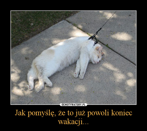 Jak pomyślę, że to już powoli koniec wakacji... –  