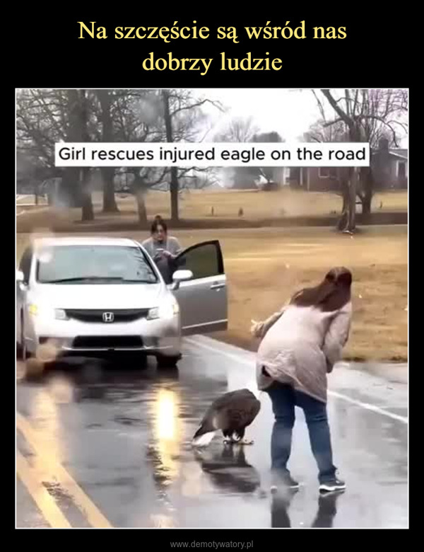  –  Girl rescues injured eagle on the roadH