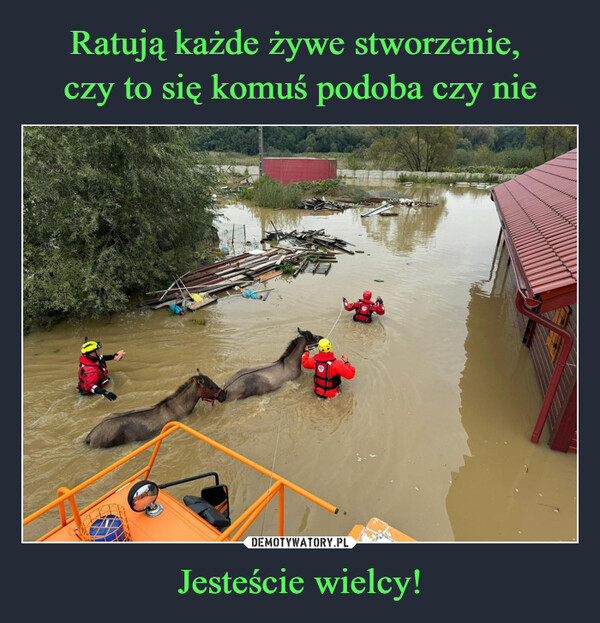 Jesteście wielcy! –  