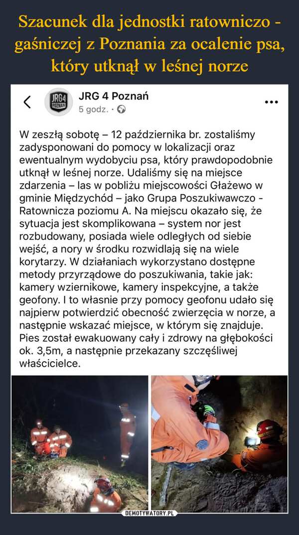  –  JRG4POZNANJRG 4 Poznań5 godz. ⚫W zeszłą sobotę - 12 października br. zostaliśmyzadysponowani do pomocy w lokalizacji orazewentualnym wydobyciu psa, który prawdopodobnieutknął w leśnej norze. Udaliśmy się na miejscezdarzenia -las w pobliżu miejscowości Głażewo wgminie Międzychód - jako Grupa Poszukiwawczo -Ratownicza poziomu A. Na miejscu okazało się, żesytuacja jest skomplikowana - system nor jestrozbudowany, posiada wiele odległych od siebiewejść, a nory w środku rozwidlają się na wielekorytarzy. W działaniach wykorzystano dostępnemetody przyrządowe do poszukiwania, takie jak:kamery wziernikowe, kamery inspekcyjne, a takżegeofony. I to własnie przy pomocy geofonu udało sięnajpierw potwierdzić obecność zwierzęcia w norze, anastępnie wskazać miejsce, w którym się znajduje.Pies został ewakuowany cały i zdrowy na głębokościok. 3,5m, a następnie przekazany szczęśliwejwłaścicielce.