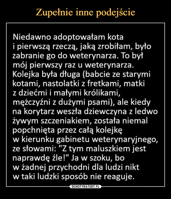  –  Niedawno adoptowałam kotai pierwszą rzeczą, jaką zrobiłam, byłozabranie go do weterynarza. To byłmój pierwszy raz u weterynarza.Kolejka była długa (babcie ze starymikotami, nastolatki z fretkami, matkiz dziećmi i małymi królikami,mężczyźni z dużymi psami), ale kiedyna korytarz weszła dziewczyna z ledwożywym szczeniakiem, została niemalpopchnięta przez całą kolejkęw kierunku gabinetu weterynaryjnego,ze słowami: "Z tym maluszkiem jestnaprawdę źle!" Ja w szoku, bow żadnej przychodni dla ludzi niktw taki ludzki sposób nie reaguje.