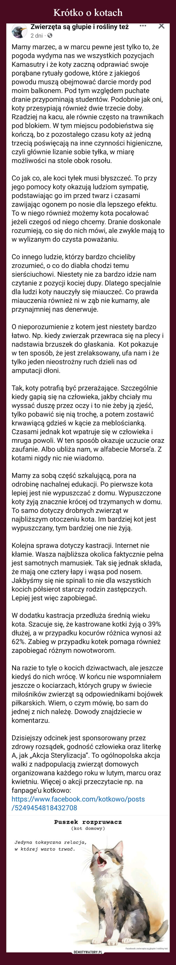  –  Zwierzęta są głupie i rośliny też2 dniMamy marzec, a w marcu pewne jest tylko to, żepogoda wydyma nas we wszystkich pozycjachKamasutry i że koty zaczną odprawiać swojeporąbane rytuały godowe, które z jakiegośpowodu muszą obejmować darcie mordy podmoim balkonem. Pod tym względem puchatedranie przypominają studentów. Podobnie jak oni,koty przesypiają również dwie trzecie doby.Rzadziej na kacu, ale równie często na trawnikachpod blokiem. W tym miejscu podobieństwa siękończą, bo z pozostałego czasu koty aż jednątrzecią poświęcają na inne czynności higieniczne,czyli głównie lizanie sobie tyłka, w miaręmożliwości na stole obok rosołu.Co jak co, ale koci tyłek musi błyszczeć. To przyjego pomocy koty okazują ludziom sympatię,podstawiając go im przed twarz i czasamizawijając ogonem po nosie dla lepszego efektu.To w niego również możemy kota pocałowaćjeżeli czegoś od niego chcemy. Dranie doskonalerozumieją, co się do nich mówi, ale zwykle mają tow wylizanym do czysta poważaniu.Co innego ludzie, którzy bardzo chcielibyzrozumieć, o co do diabła chodzi temusierściuchowi. Niestety nie za bardzo idzie namczytanie z pozycji kociej dupy. Dlatego specjalniedla ludzi koty nauczyły się miauczeć. Co prawdamiauczenia również ni w ząb nie kumamy, aleprzynajmniej nas denerwuje.O nieporozumienie z kotem jest niestety bardzołatwo. Np. kiedy zwierzak przewraca się na plecy inadstawia brzuszek do głaskania. Kot pokazujew ten sposób, że jest zrelaksowany, ufa nam i żetylko jeden nieostrożny ruch dzieli nas odamputacji dłoni.Tak, koty potrafią być przerażające. Szczególniekiedy gapią się na człowieka, jakby chciały muwyssać duszę przez oczy i to nie żeby ją zjeść,tylko pobawić się nią trochę, a potem zostawićkrwawiącą gdzieś w kącie za meblościanką.Czasami jednak kot wpatruje się w człowieka imruga powoli. W ten sposób okazuje uczucie orazzaufanie. Albo ubliża nam, w alfabecie Morse'a. Zkotami nigdy nic nie wiadomo.Mamy za sobą część szkalującą, pora naodrobinę nachalnej edukacji. Po pierwsze kotalepiej jest nie wypuszczać z domu. Wypuszczonekoty żyją znacznie krócej od trzymanych w domu.To samo dotyczy drobnych zwierząt wnajbliższym otoczeniu kota. Im bardziej kot jestwypuszczany, tym bardziej one nie żyją.Kolejna sprawa dotyczy kastracji. Internet niekłamie. Wasza najbliższa okolica faktycznie pełnajest samotnych mamusiek. Tak się jednak składa,że mają one cztery łapy i wąsa pod nosem.Jakbyśmy się nie spinali to nie dla wszystkichkocich półsierot starczy rodzin zastępczych.Lepiej jest więc zapobiegać.W dodatku kastracja przedłuża średnią wiekukota. Szacuje się, że kastrowane kotki żyją o 39%dłużej, a w przypadku kocurów różnica wynosi aż62%. Zabieg w przypadku kotek pomaga równieżzapobiegać różnym nowotworom.Na razie to tyle o kocich dziwactwach, ale jeszczekiedyś do nich wrócę. W końcu nie wspomniałemjeszcze o kociarzach, których grupy w świeciemiłośników zwierząt są odpowiednikami bojówekpiłkarskich. Wiem, o czym mówię, bo sam dojednej z nich należę. Dowody znajdziecie wkomentarzu.Dzisiejszy odcinek jest sponsorowany przezzdrowy rozsądek, godność człowieka oraz literkęA, jak,,Akcja Sterylizacja". To ogólnopolska akcjawalki z nadpopulacją zwierząt domowychorganizowana każdego roku w lutym, marcu orazkwietniu. Więcej o akcji przeczytacie np. nafanpage'u kotkowo:https://www.facebook.com/kotkowo/posts/5249454818432708Puszek rozpruwacz(kot domowy)Jedyna toksyczna relacja,w której warto trwać.Facebook: zwierzęta są głupie i rośliny też