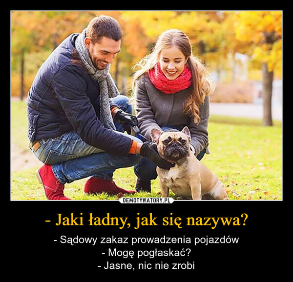 - Jaki ładny, jak się nazywa? – - Sądowy zakaz prowadzenia pojazdów- Mogę pogłaskać?- Jasne, nic nie zrobi -Jaki ładny, jak się nazywa?- Sądowy zakaz prowadzeniapojazdów-Mogę pogłaskać?- Jasne nic nie zrobi.