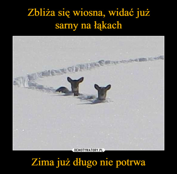 Zima już długo nie potrwa –  