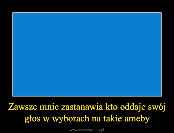 Zawsze mnie zastanawia kto oddaje swój głos w wyborach na takie ameby –  