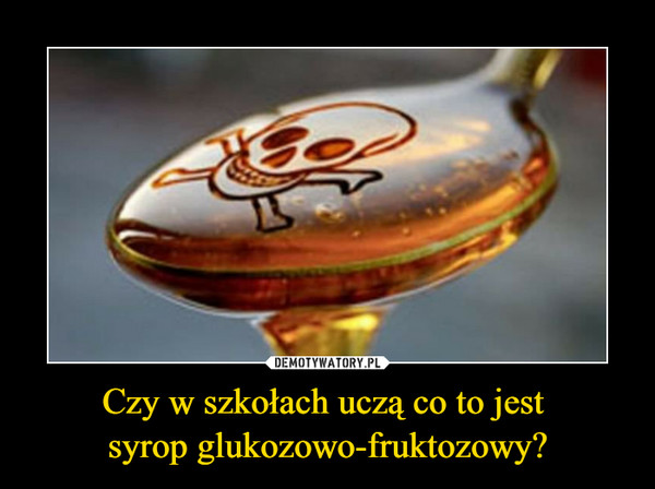 Czy w szkołach uczą co to jest syrop glukozowo-fruktozowy? –  