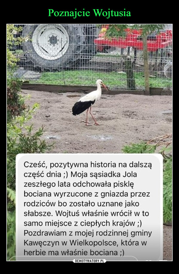  –  Cześć, pozytywna historia na dalszączęść dnia ;) Moja sąsiadka Jolazeszłego lata odchowała pisklębociana wyrzucone z gniazda przezrodziców bo zostało uznane jakosłabsze. Wojtuś właśnie wrócił w tosamo miejsce z ciepłych krajów ;)Pozdrawiam z mojej rodzinnej gminyKawęczyn w Wielkopolsce, która wherbie ma właśnie bociana ;)