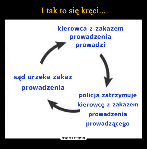  –  kierowca z zakazemprowadzeniaprowadzisąd orzeka zakazprowadzeniapolicja zatrzymujekierowcę z zakazemprowadzeniaprowadzącego